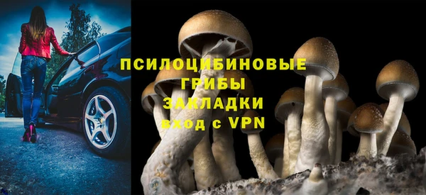 амф Аркадак