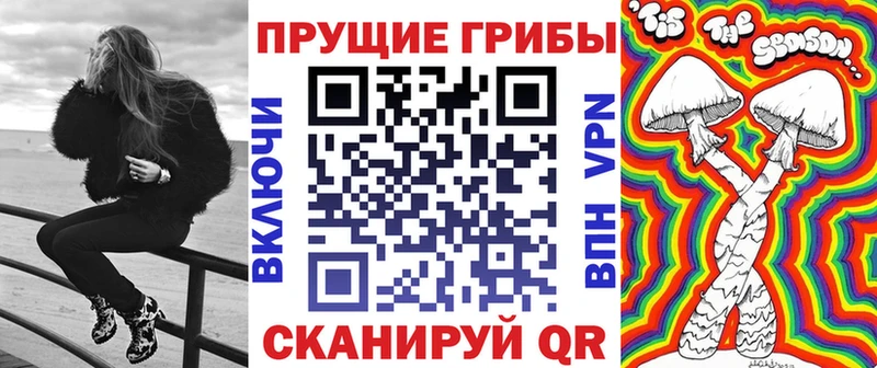 Галлюциногенные грибы Psilocybine cubensis  где купить наркоту  Свирск 